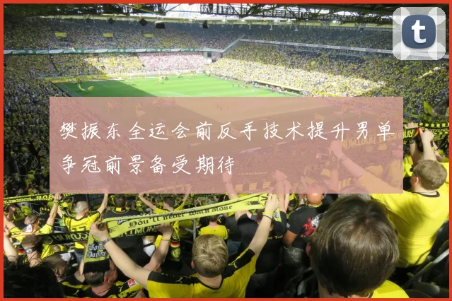 樊振东全运会前反手技术提升男单争冠前景备受期待