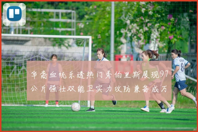 华裔血统乐透热门秀伯里斯展现97公斤强壮双能卫实力攻防兼备成万金油之选
